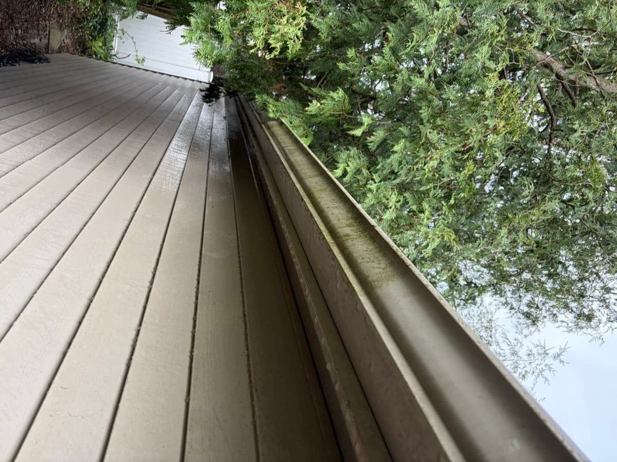 Gutter and soffit with algae streaks before cleaning